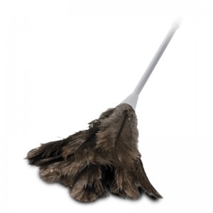 Feather Duster Size #9
