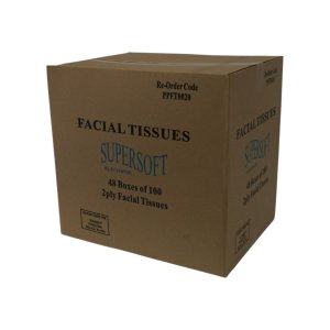 Ecowise Facial Tissues Pkt100 Ctn48