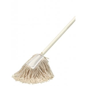 Dolly Dusting Mop With Handle